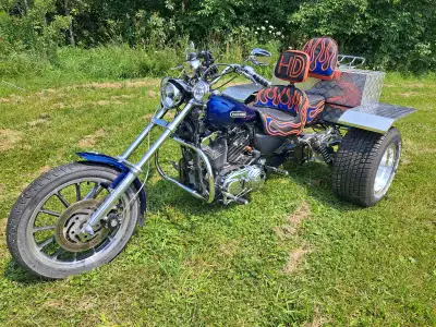 The bike is a 2006 Harley Davidson Sportster XL1200 LOW. This is the last year for a carburetor bike...