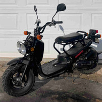 2005 honda ruckus