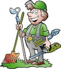 ***20% OFF ALL CLEANUPS or LANDSCAPING - LIVELY LAWN 10+YRS***