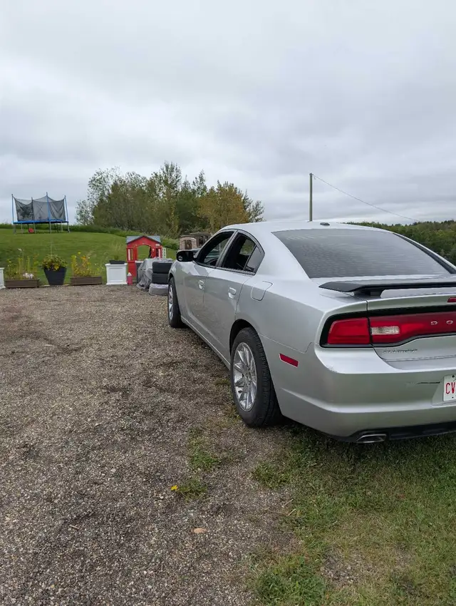 Dodge Charger558375872821340165