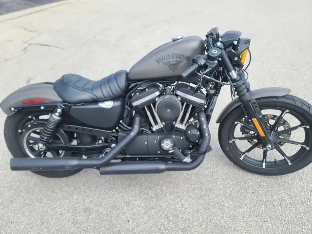 2018 Harley Davidson Iron 883 - 1200cc Hammer Performance! in Street, Cruisers & Choppers in Mississauga / Peel Region - Image 5