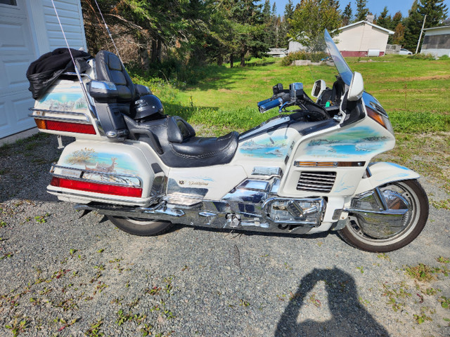 Goldwing in Sport Touring in Cape Breton - Image 4