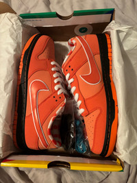 Orange lobster size 10