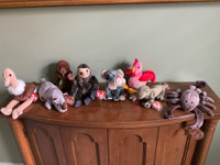 TY Beanie Babies Collection