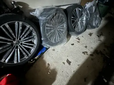The have corrosion but there all straight and will clean up nice I have 2 sets that came with my car...