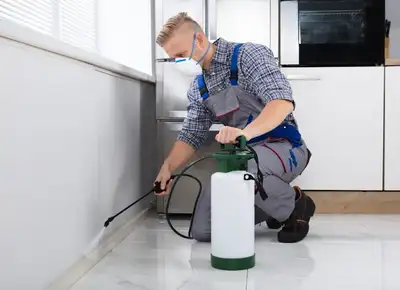 Pest Control, Raccoon, Mice, Pest control, Roaches 289.301.8631, View more