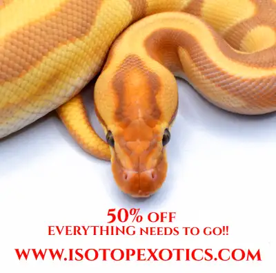 We're downsizing!! 50% off EVERYTHING on the website!! 30+ years in the hobby! We have everything fr...