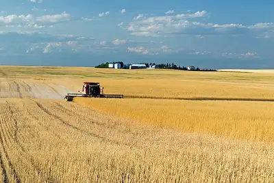 We lend on farms & land. No min credit score Bad credit, self emp, low income, bank decline mortgage...