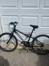 Boys Black and Red Norco Hornet Mountain Bike