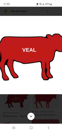 Looking for veal or cow to butcher 