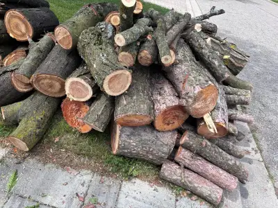 free firewood nicely cut locust wood! see pictures!, View more