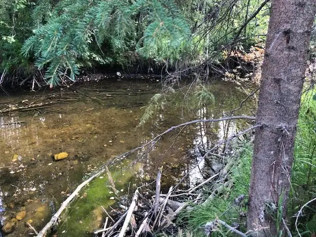 Lot for Sale in Rock Creek in Land for Sale in Whitehorse - Image 9