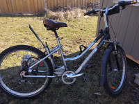 Electric bicycle for Sale