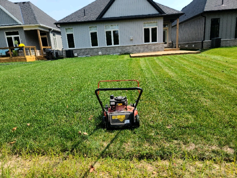 Landscaping lawn mowing 40 starting since 2020 Lawn, Tree