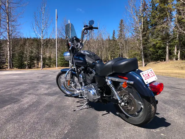 2009 HD Sportster, XL1200c in Street, Cruisers & Choppers in Edmonton - Image 4