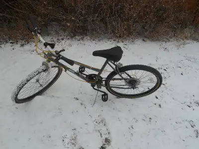 Fox River All Terrain Adult Mountain Bike, View more