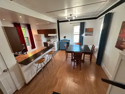 All-inclusive 1600 sq ft 3 bedroom downtown Triplex Unit