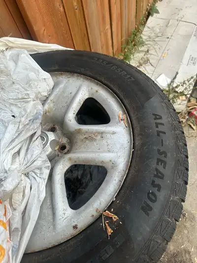 On rims. Used for one season.