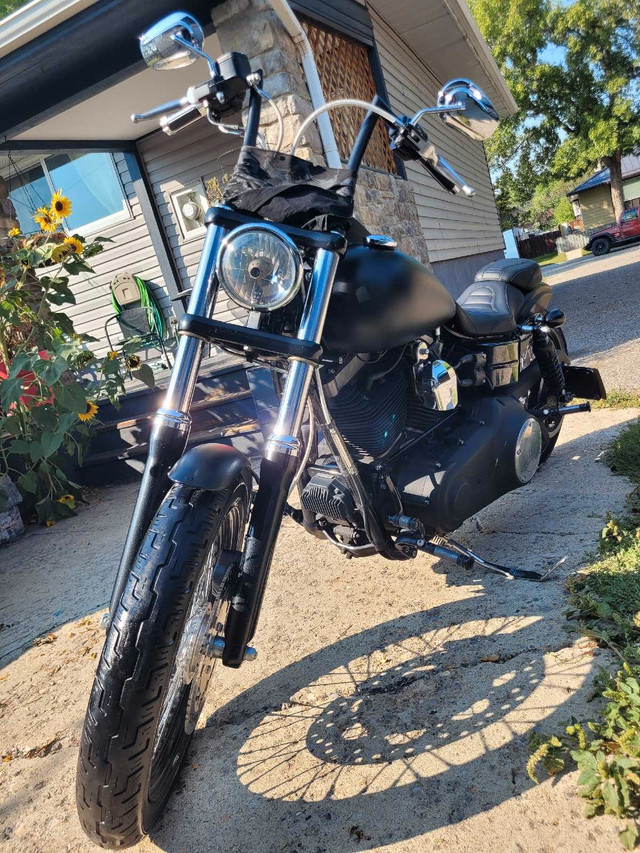 2014 Harley Dyna Streetbob  in Street, Cruisers & Choppers in Calgary - Image 4