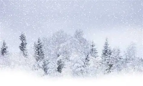 Snow removal services - West & Central Edmonton