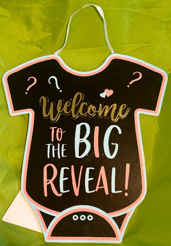 Gender Reveal Welcome Sign in Other in Ottawa
