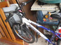 FS: Adult ladies Raleigh mountain bike, Kids bike 20 inch wheel