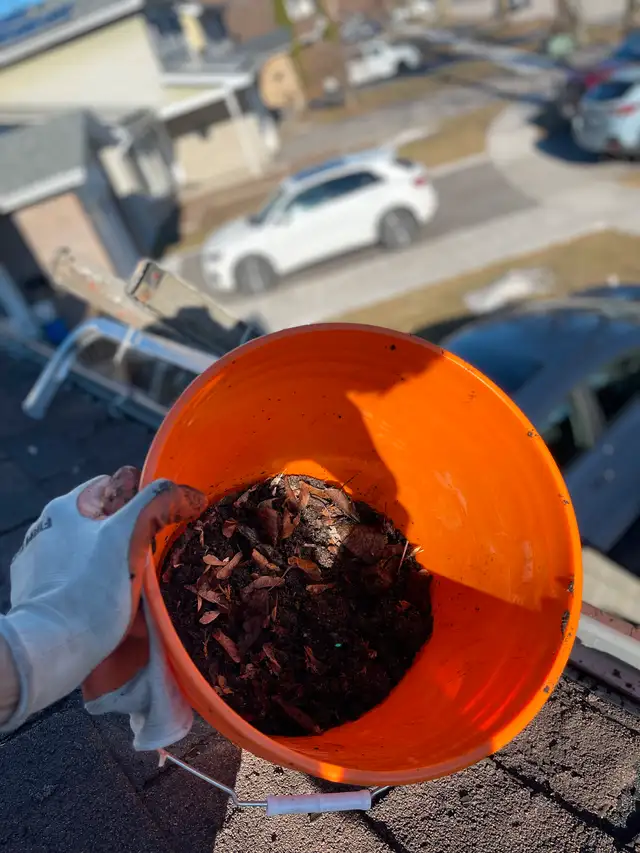 $200 Eavestrough & Leaf Removal Special!63860080396929120