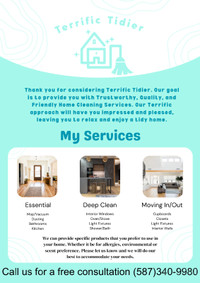 Terrific Tidier Cleaning Services