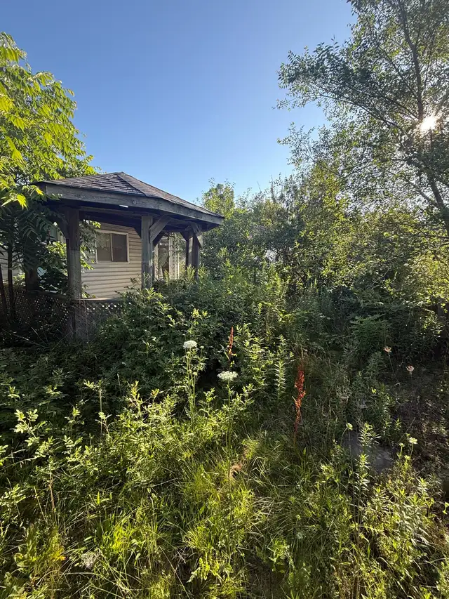 Landscaping & Lawn Care Services | Yard Cleanup & Grass Cutting in Lawn, Tree Maintenance & Eavestrough in City of Toronto - Image 9