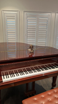 Grand Piano - Koehler & Campbell 2005 5'10"