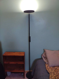 LED Floor Lamp with remote