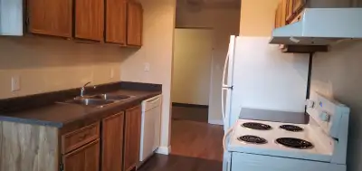 Large one bedroom apartment for rent at 2511-109 Street