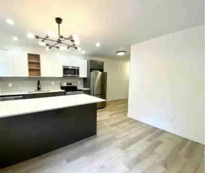 Newly Renovated 2-Bedroom Apartment in Hamilton