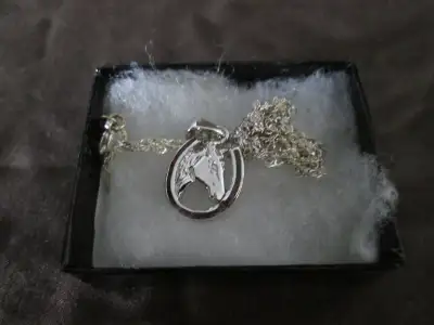 Horseshoe Horse Necklace Shipping can be arranged. Sent message or Text 1-306-501- 4540
