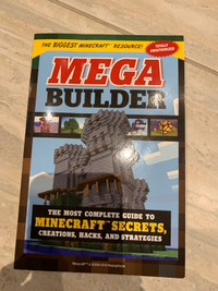 Minecraft Builder novel 