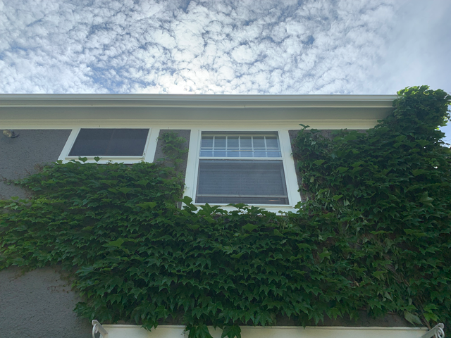 Save 20% on all paint projects if you book before Feb 1st! in Painters & Painting in Cambridge - Image 8