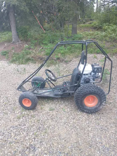 Youth go cart with New Honda GX 270(9HP) engine. Less than 10 hours on motor. New clutch and throttl...