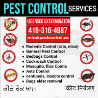 Ministry Licensed exterminator, Pest control, roaches, bedbugs,