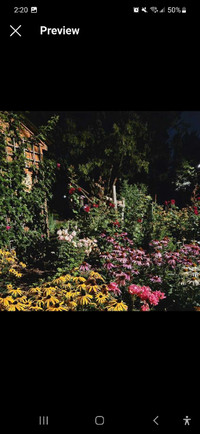 Hedge Trimming & Garden Maintenance