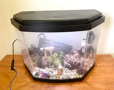 3 Gallon Fish Tank, View more