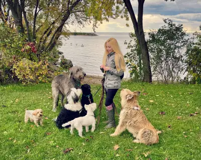 Dog Walking - Bloor West Village, High Park, Kingsway, View more
