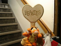 Beanie Or small stuff toys Hanger**