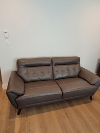 Grey Couch for Sale