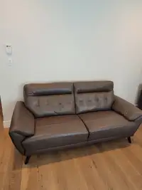 Grey Couch for Sale