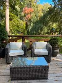 New Pottery Barn outdoor Swivel Chairs