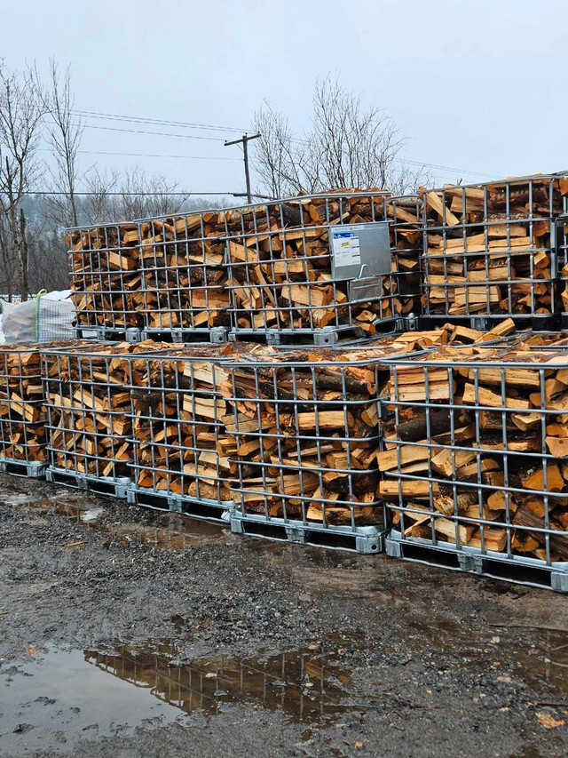 Firewood For Sale in Other in Sudbury - Image 4