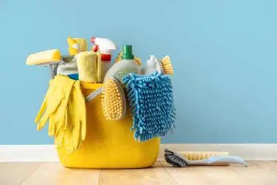 Looking for Cleaning Service, View more