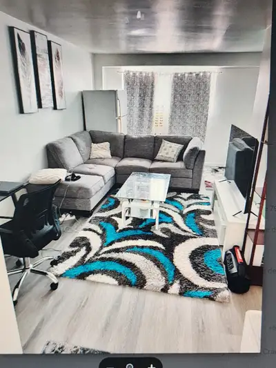 APPARTEMENT 4 1/2 DEMI SOUS-SOL - MERCIER HOCHELAGA – JUILLET