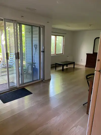 1 bedroom apartment