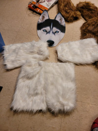 Beautiful husky costume
